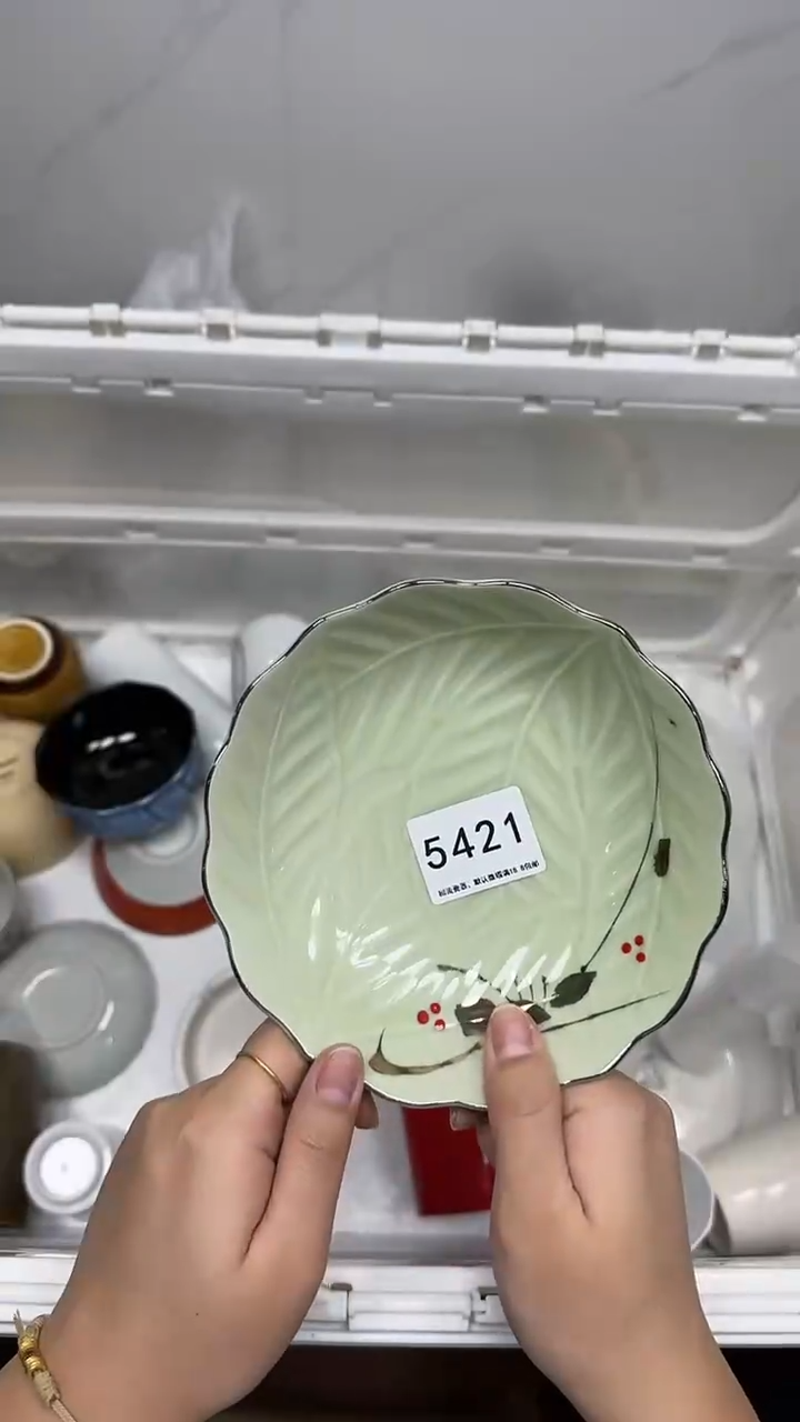 【闪购商品】5421回流瓷器默认微瑕，18.8包邮