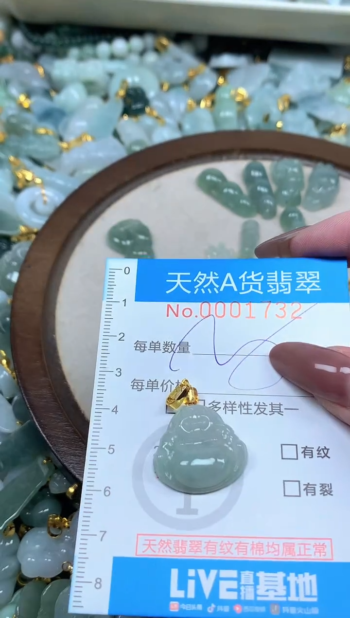 颈饰未镶嵌翡翠净货挂件-1732