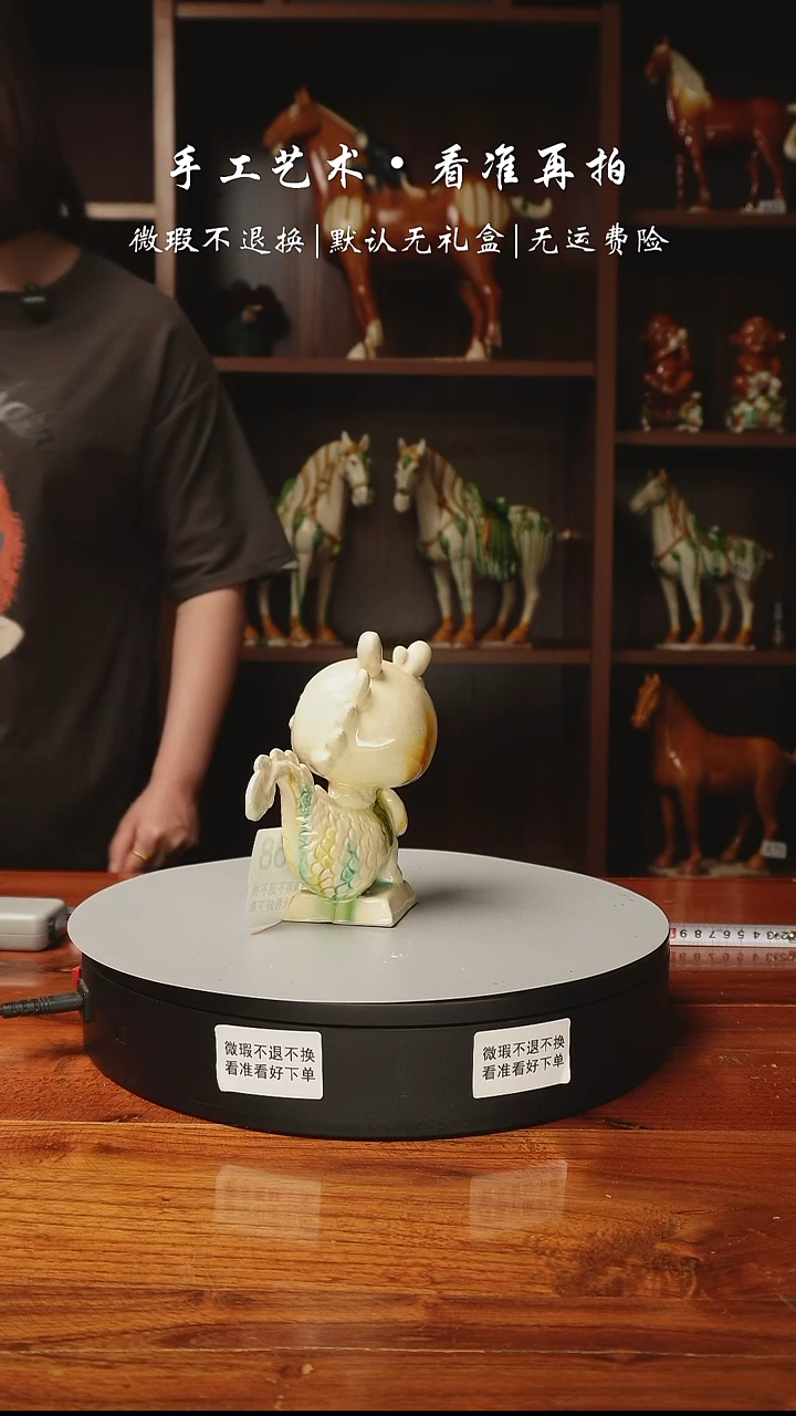 484 生肖猪宝       