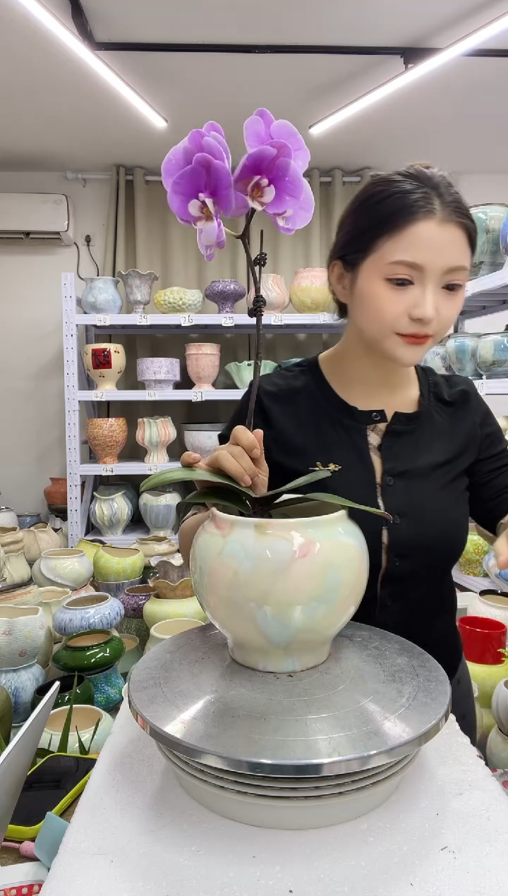 【12.31】花盆链接高：16  口：12