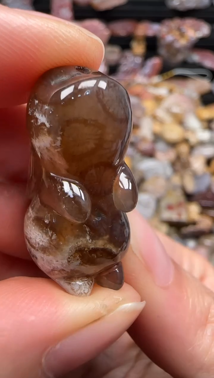 【闪购商品】硅化珊瑚（珊瑚玉）颈饰未镶嵌390