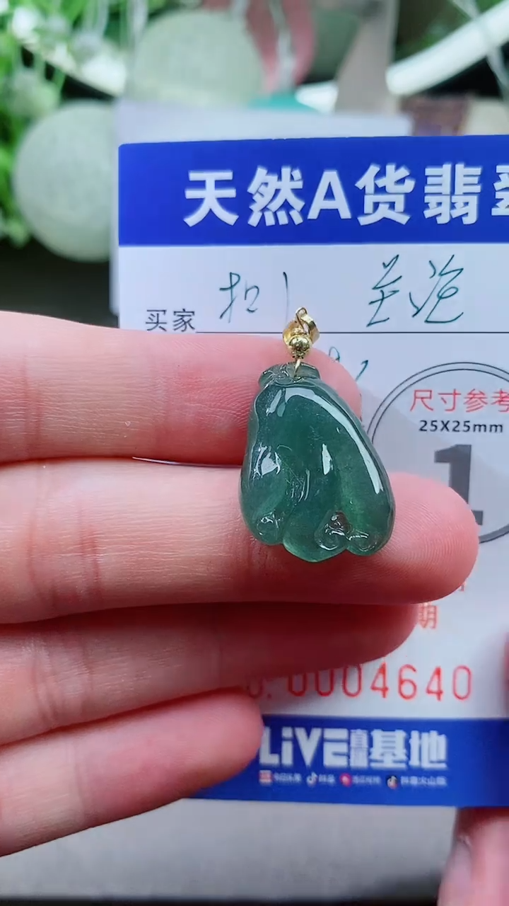 【闪购商品】翡翠颈饰未镶嵌天然A货翡翠一件