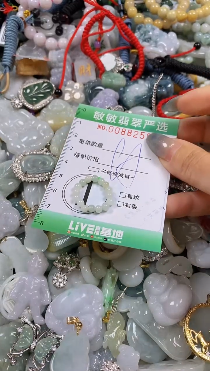 【闪购商品】翡翠颈饰未镶嵌闪购0088259