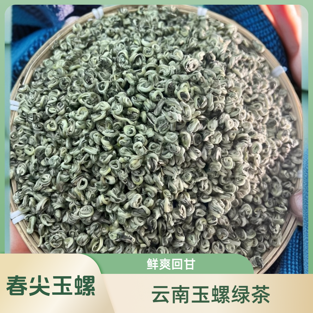 【精品玉螺】云南春尖精品绿茶芽头饱满香高回甘商务送礼（煮泡均可）
