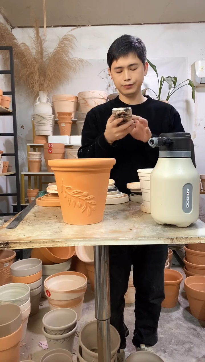 20*19红陶橄榄枝 1盆无托