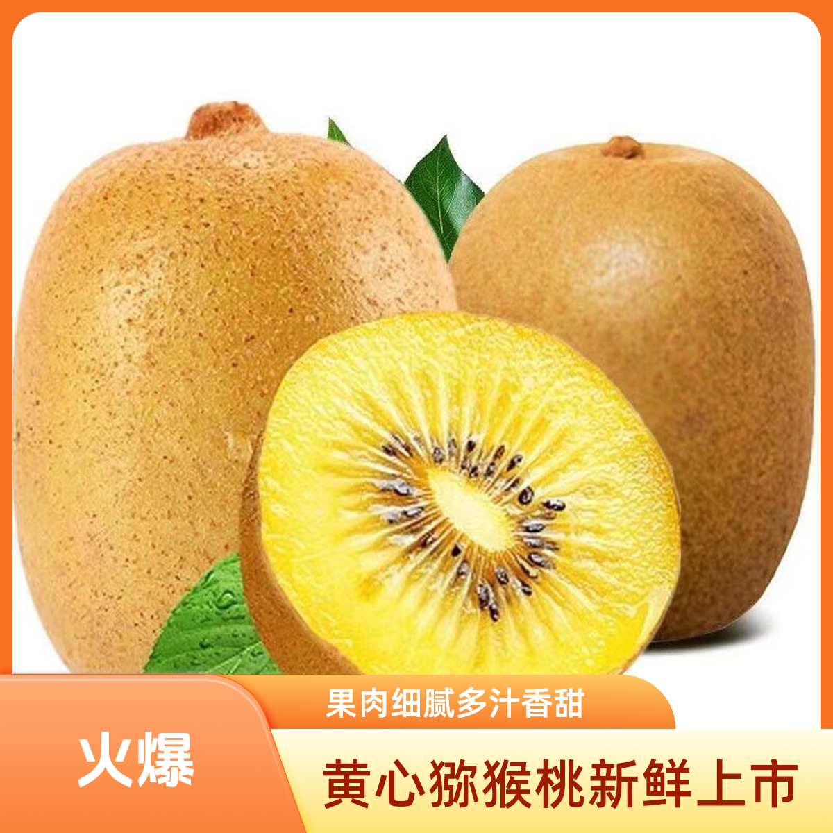 【坏果包赔】金果奇异果黄心猕猴桃2025年新鲜采摘当季正宗孕妇孕期