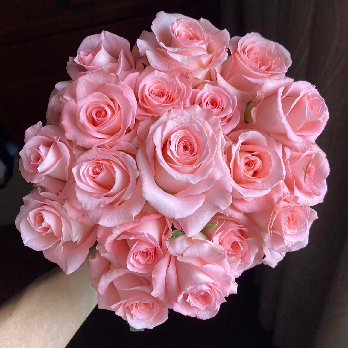 鲜花【戴安娜】家庭同地址两单京东或德邦送货上门+配草1扎