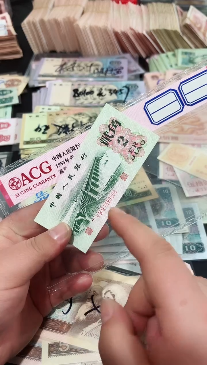 大桥贰角豹子身尾88一张保真