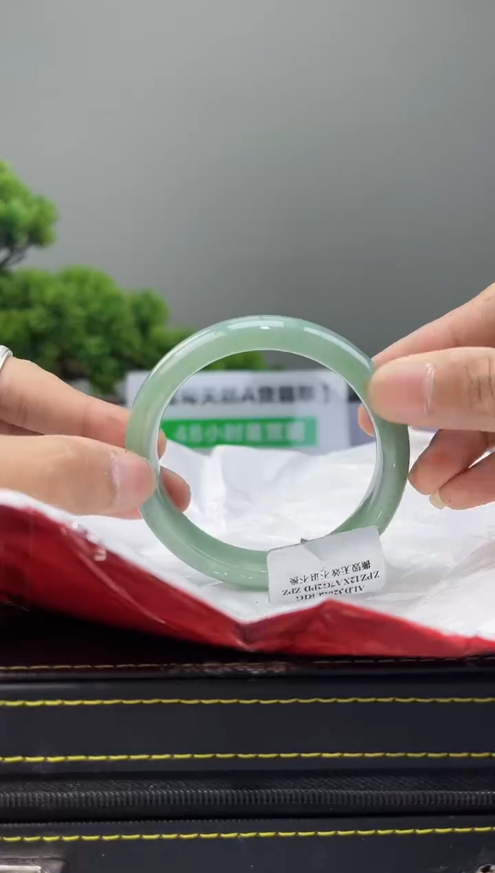 【闪购商品】翡翠手镯未镶嵌手镯3