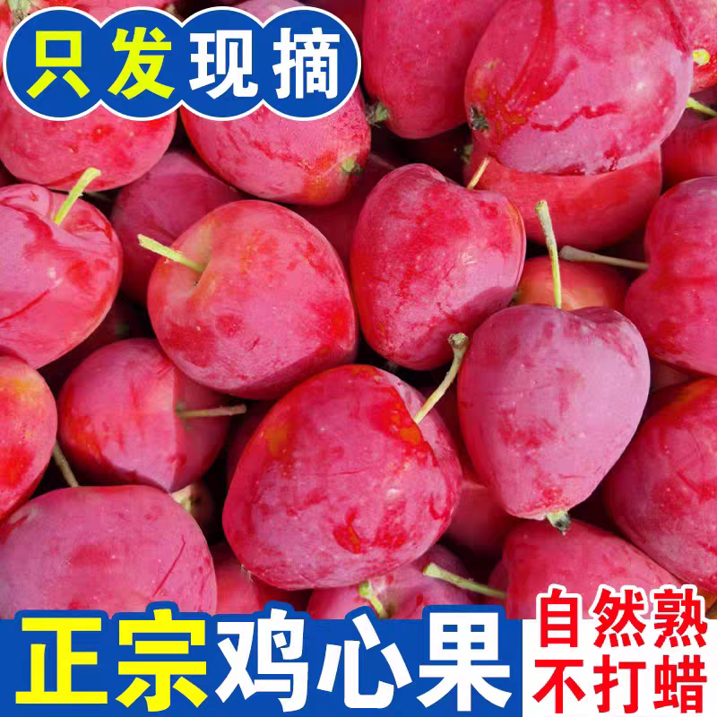 东北特产鸡心果香妃海棠酸甜口孕妇水果新鲜采摘 包邮