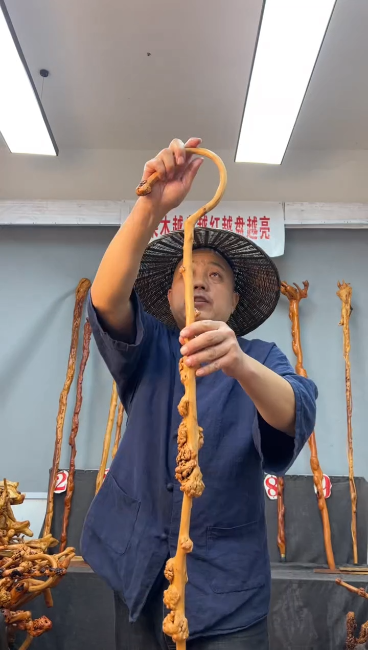 【闪购商品】黑果木其他黑果木449