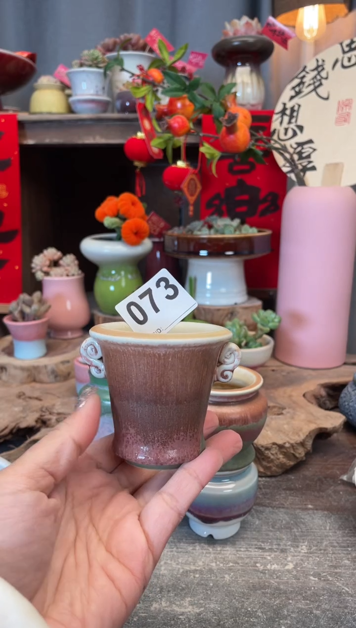 【闪购商品】摆件073知木小芳花盆