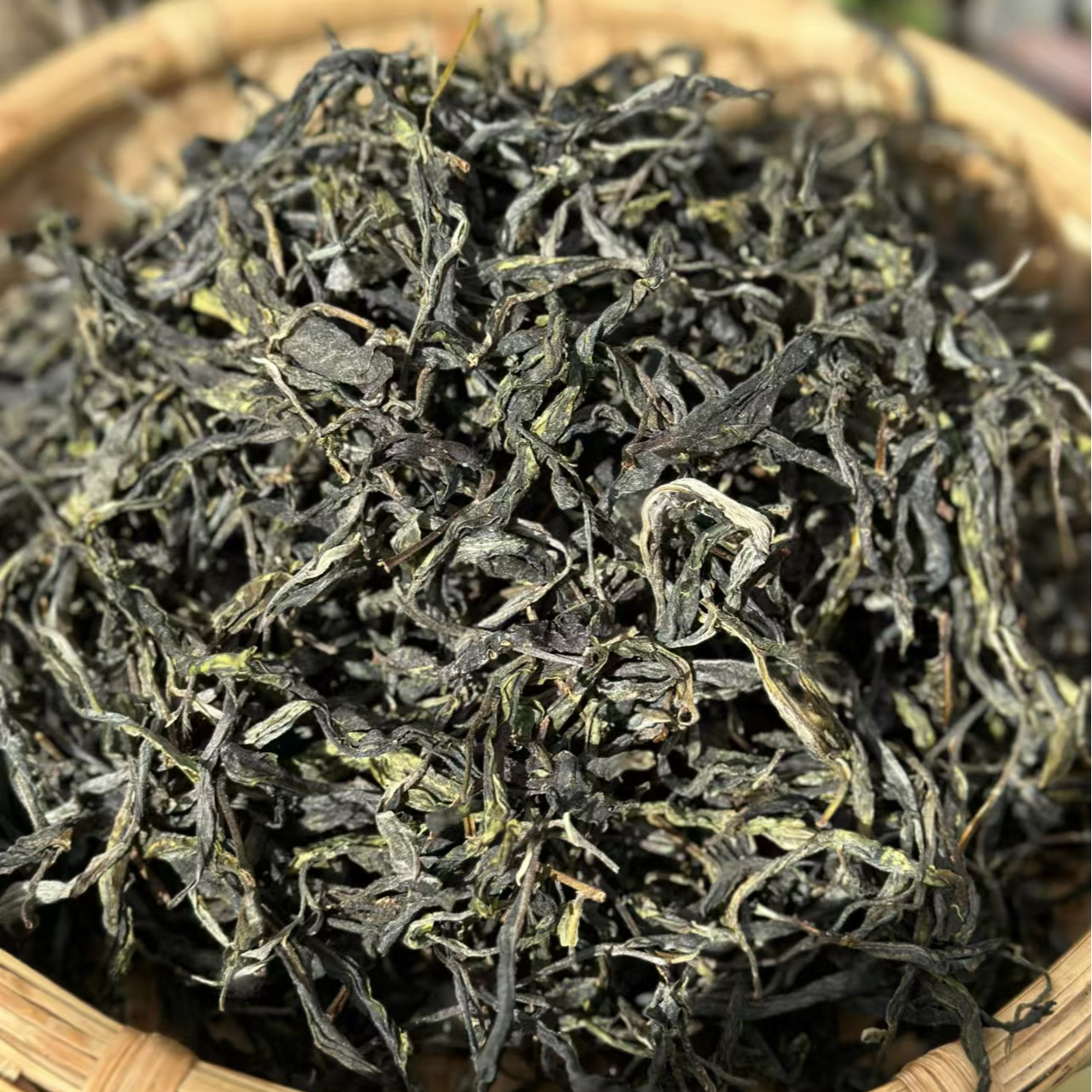 【支书严选】2025年 邦旭 中大树 头春普洱茶生茶散茶