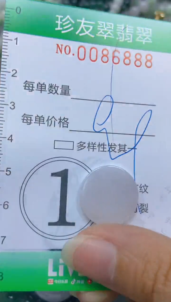 【闪购商品】翡翠颈饰未镶嵌闪购0086888