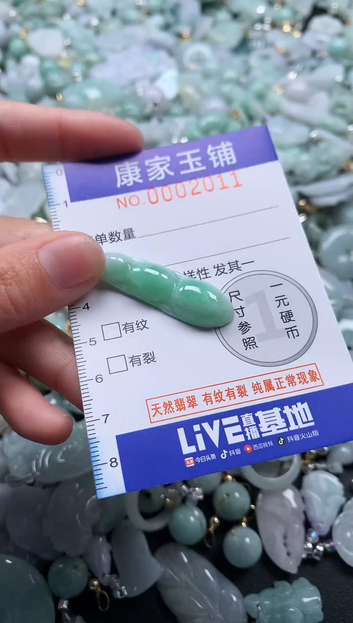 颈饰未镶嵌翡翠2011