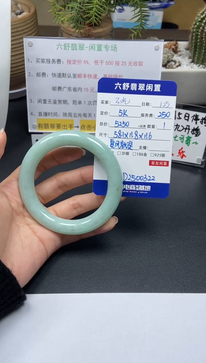 【闪购商品】翡翠手镯未镶嵌D2500322