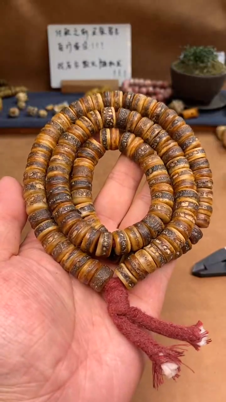 【闪购商品】牛骨其他G081-原色超糯嘎嘎