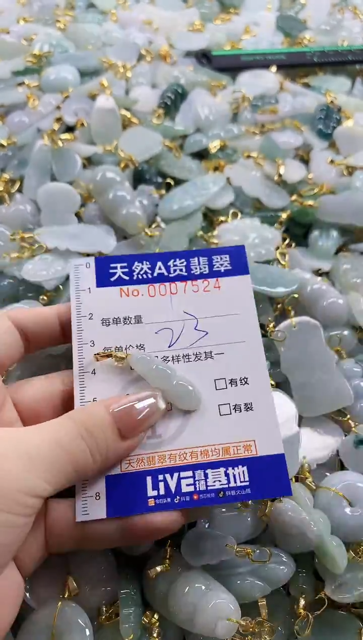 颈饰未镶嵌翡翠天然A货翡翠