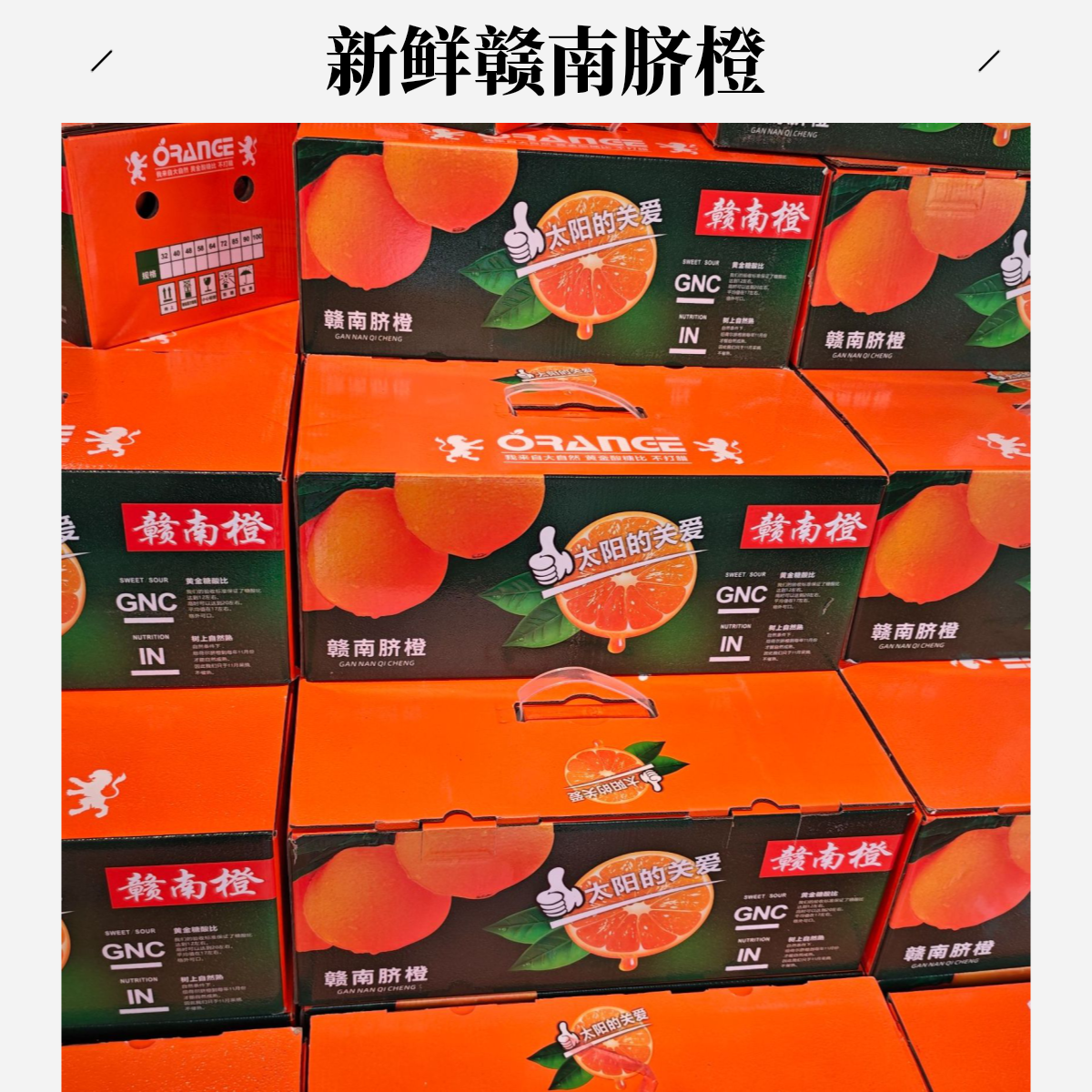 新春水果礼盒（任选四件）