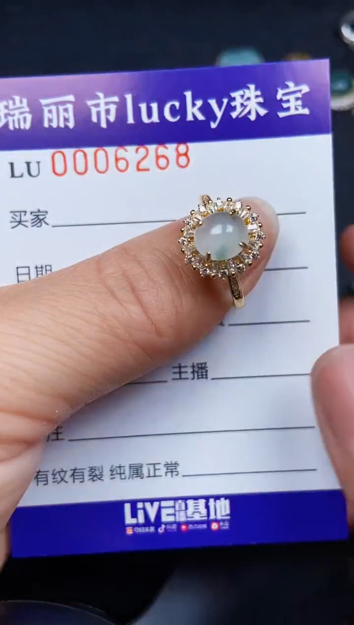 翡翠银S925镶嵌颈饰6268