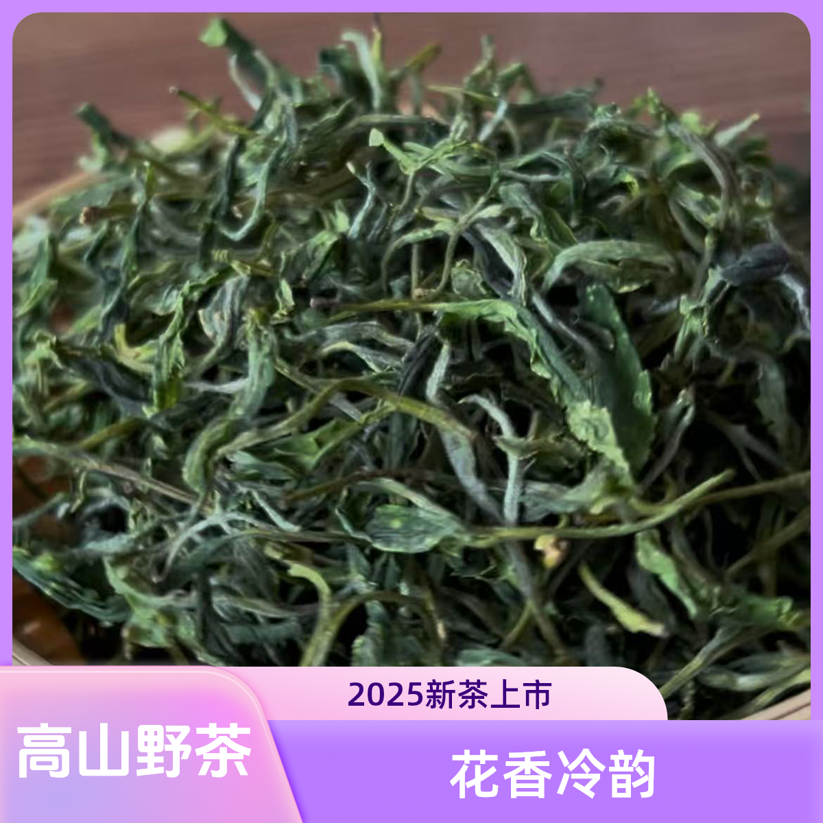 2025新茶 荒野茶