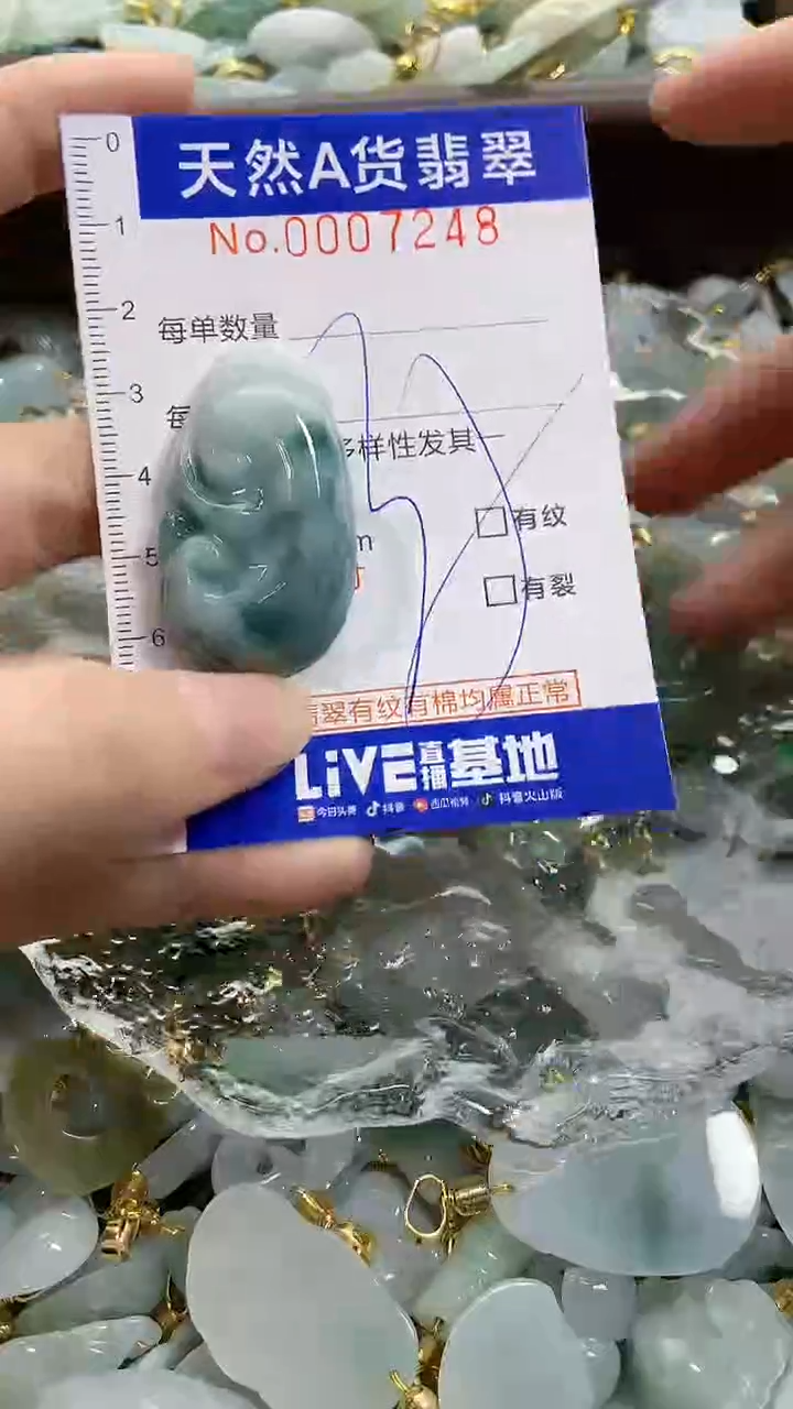 颈饰未镶嵌翡翠天然A货翡翠