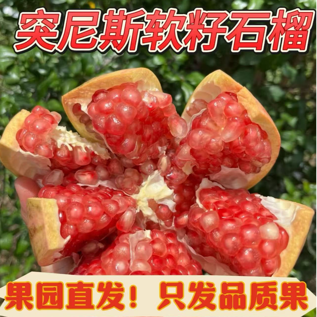 【严选品质】四川会理突尼斯软籽石榴产地直发新鲜采摘皮薄多汁