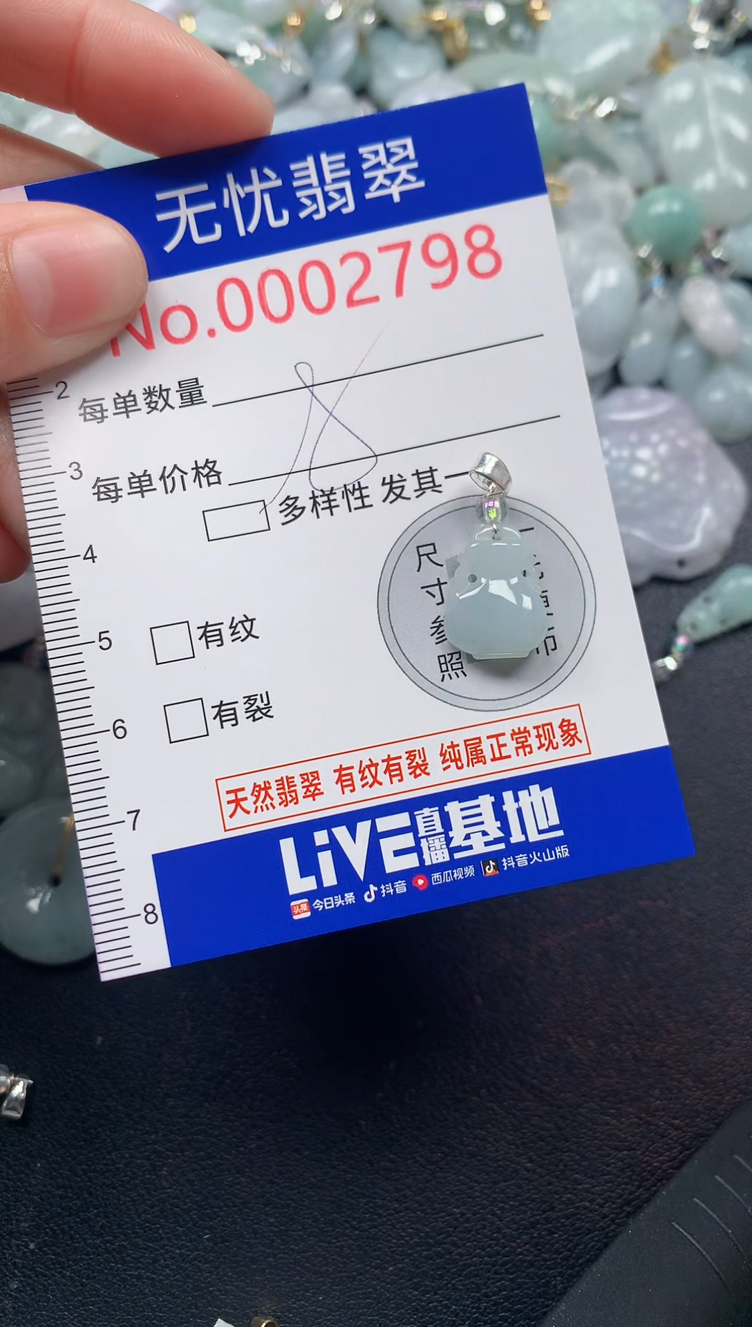 颈饰未镶嵌翡翠2798