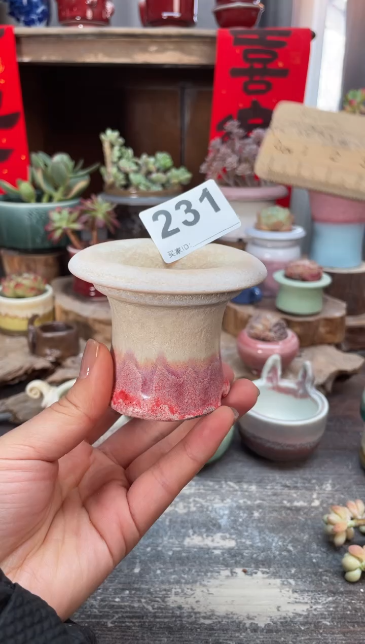 【闪购商品】摆件231微瑕知木小芳花盆