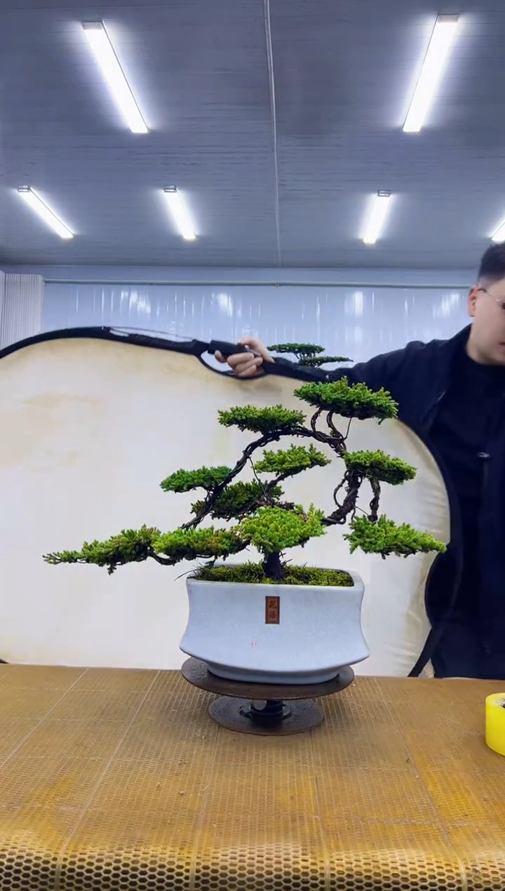 无花朵00000000000000000