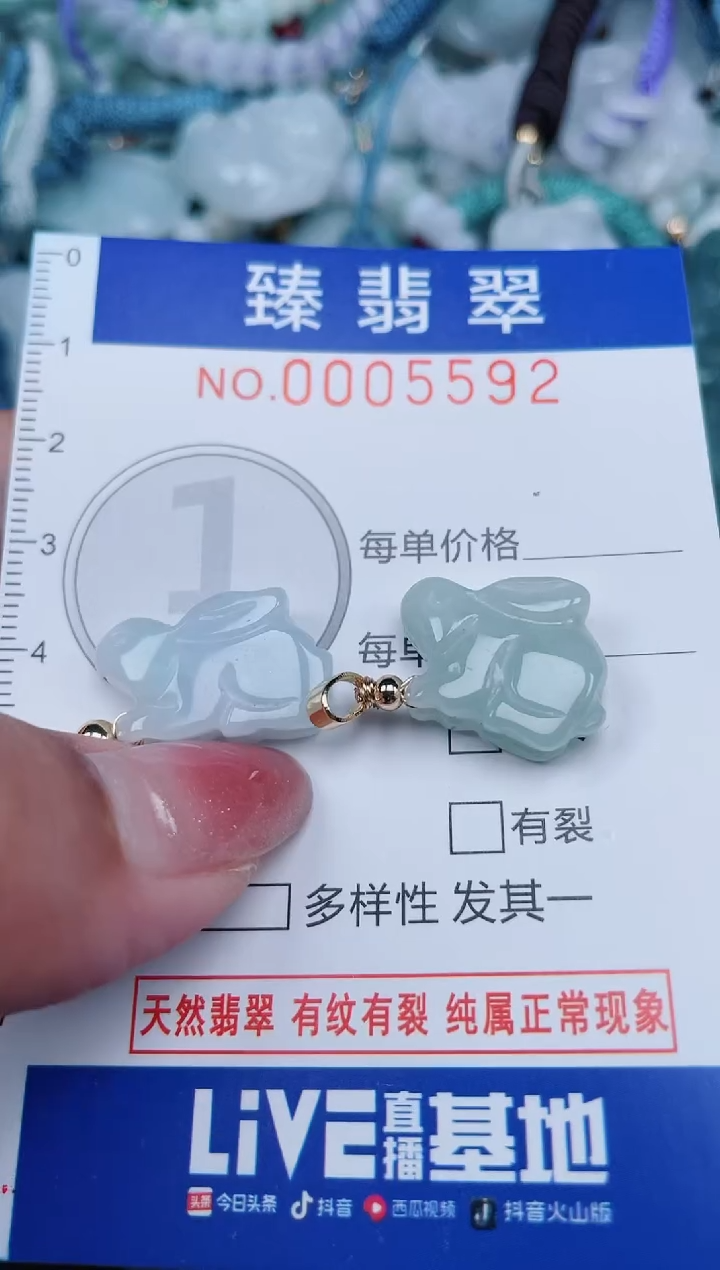 【闪购商品】翡翠颈饰未镶嵌.0005592