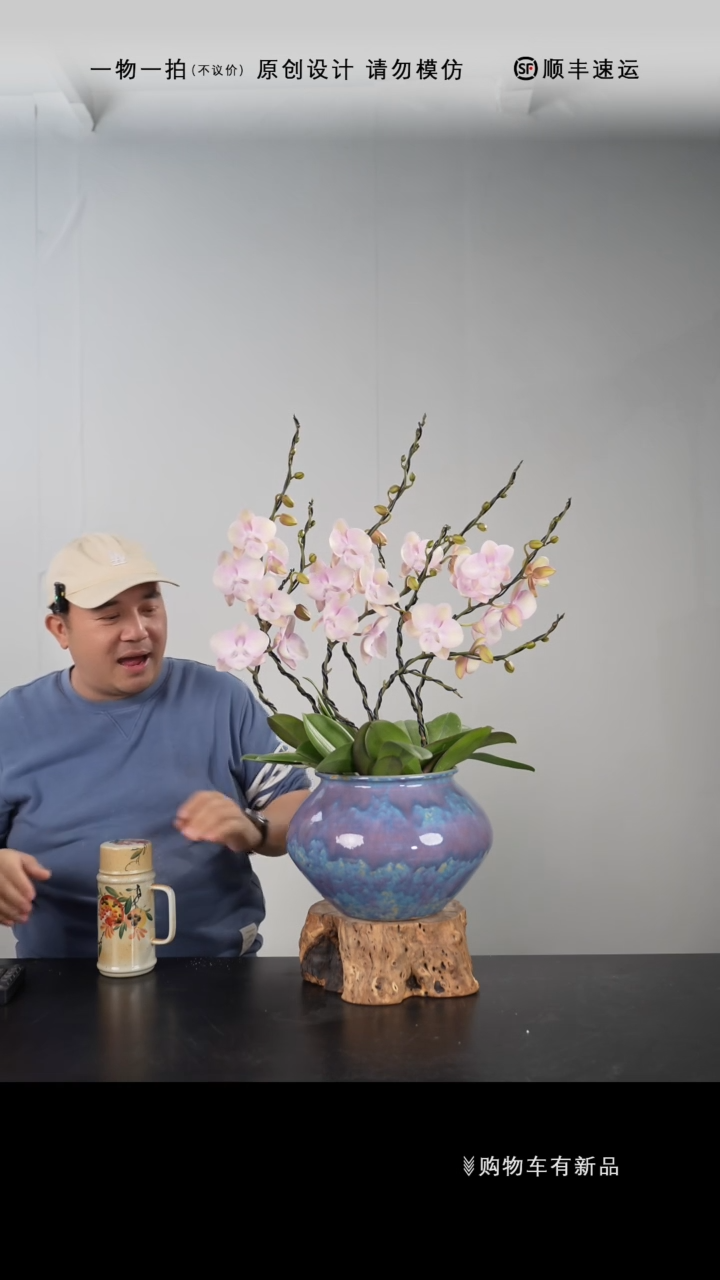 【闪购商品】051号链接【一物一拍】艺术盆景