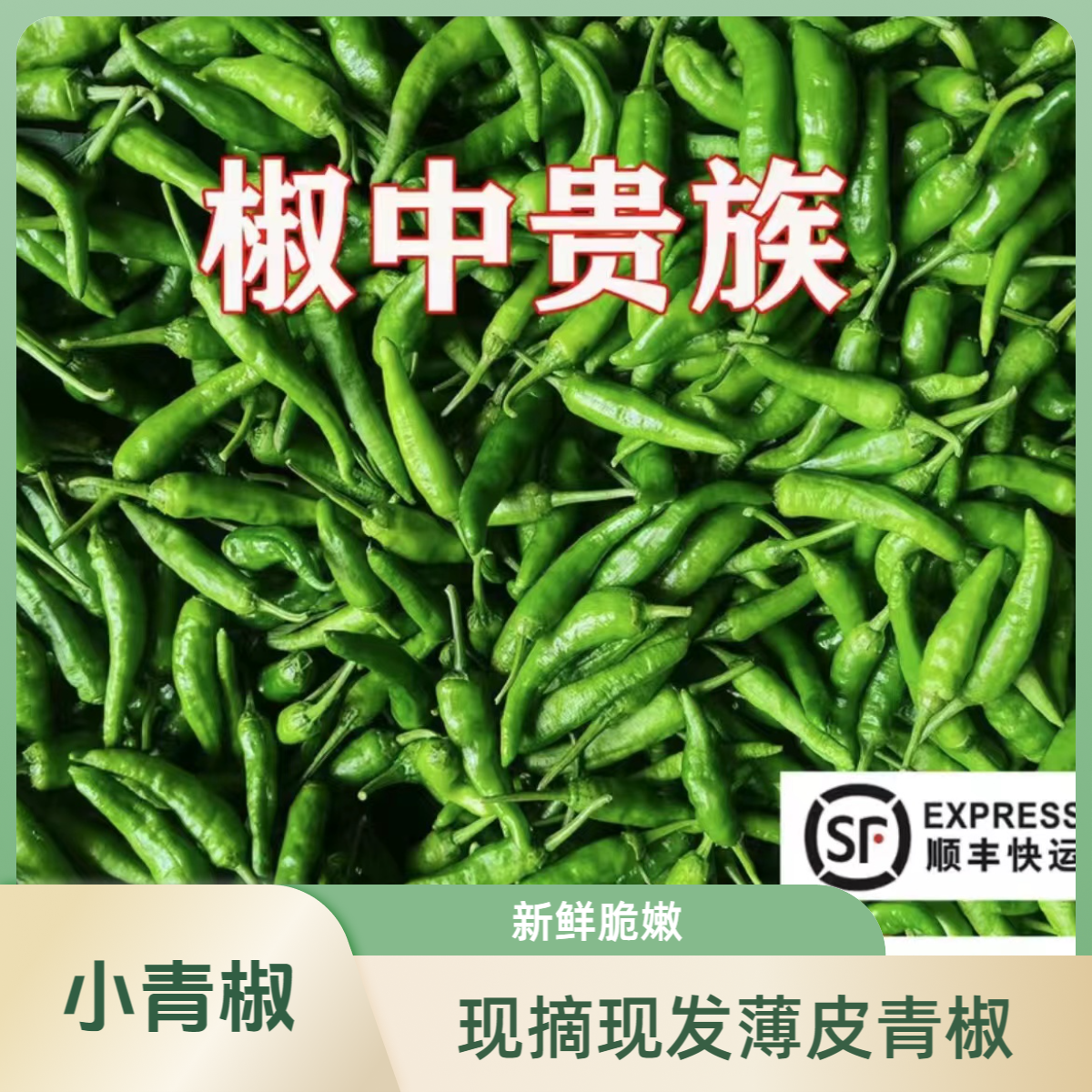 【顺丰包邮】樟树品种薄皮椒清脆皮薄肉厚产地直发辣椒清香新鲜采摘