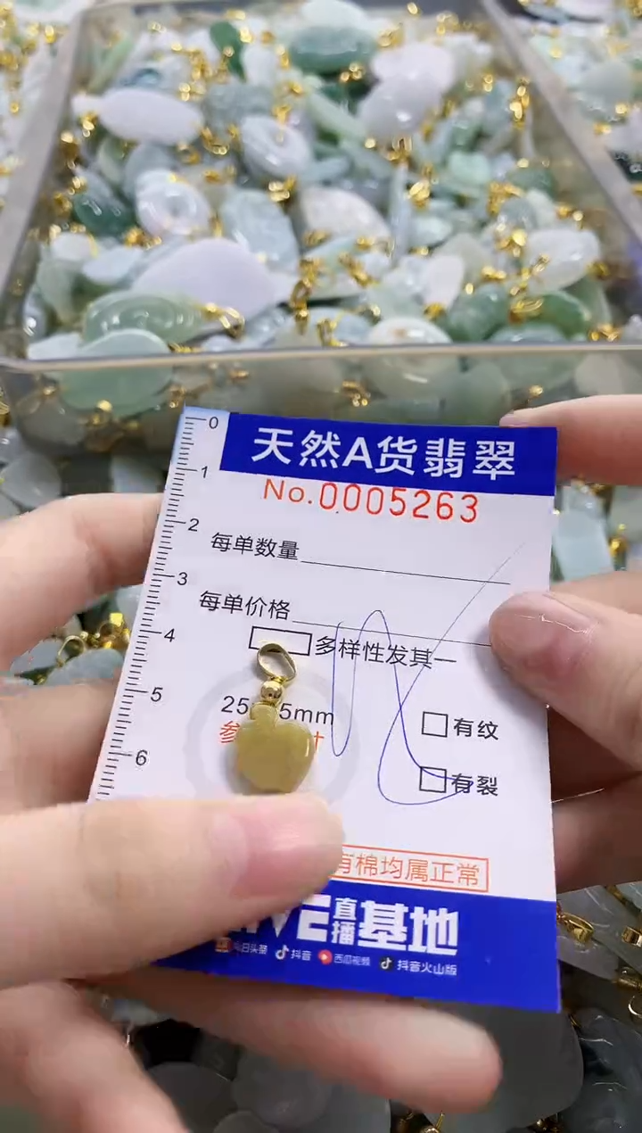 颈饰未镶嵌翡翠纯天然a货翡翠