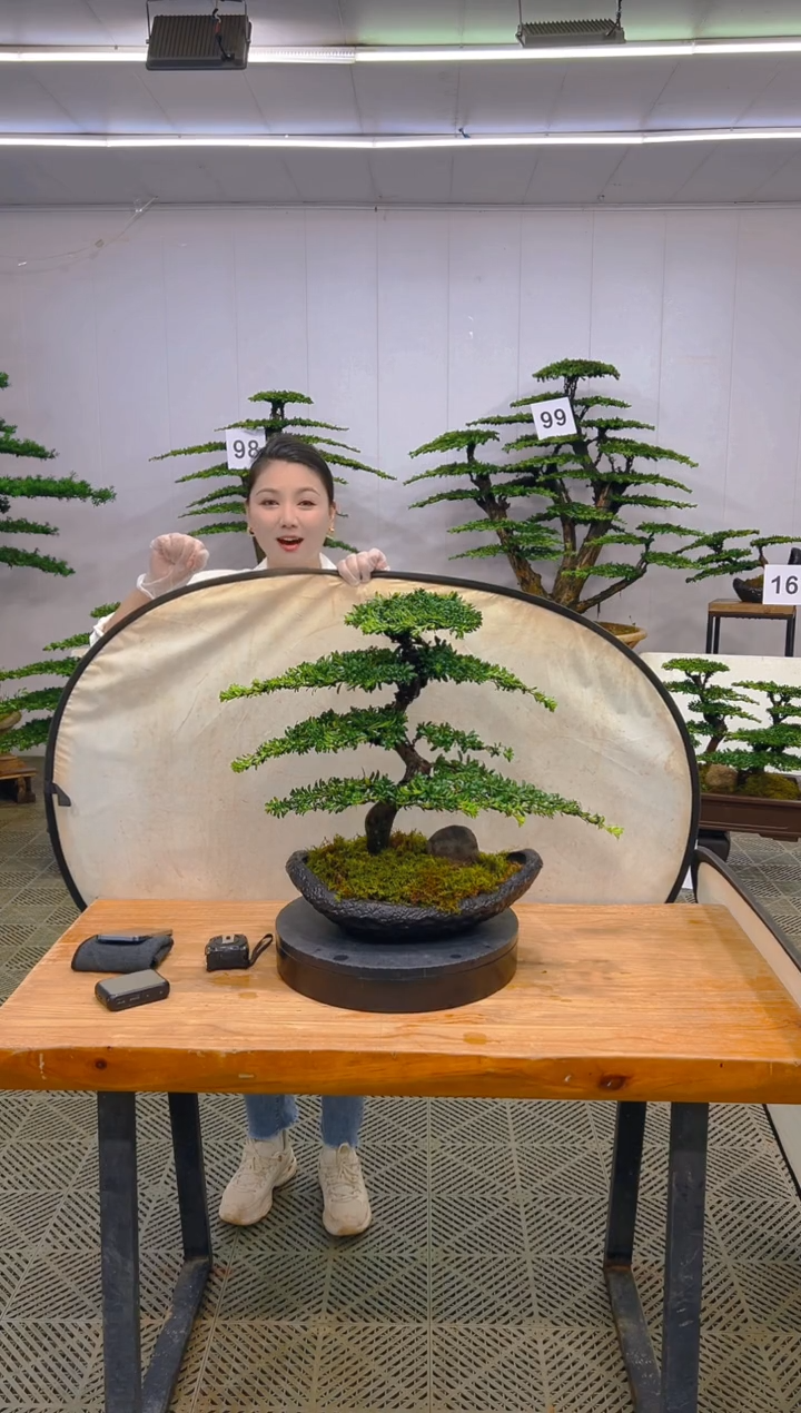 无花朵一物一拍一物一拍