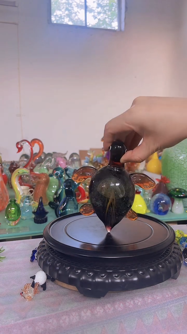 淄博琉璃水母海龟