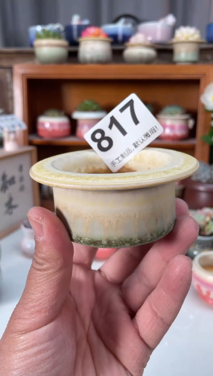 瓷片817小芳直播编号