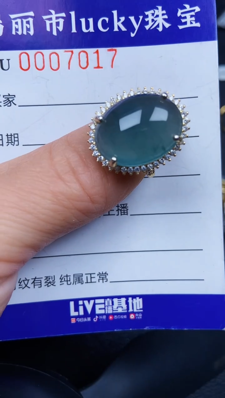 翡翠银S925镶嵌颈饰7017