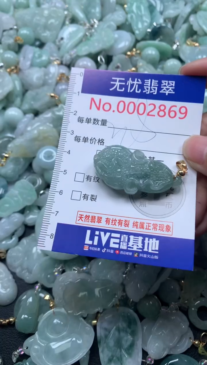 颈饰未镶嵌翡翠2869