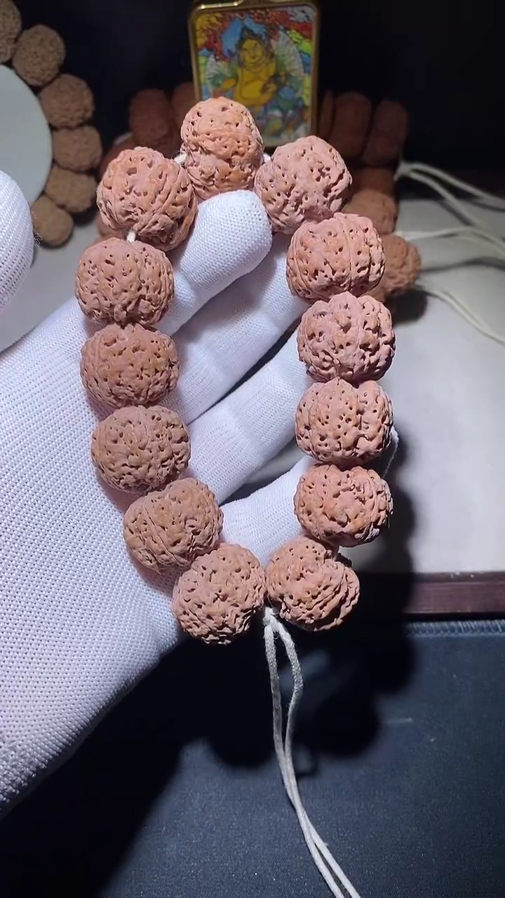 【闪购商品】金刚菩提手串超头满肉五星蜂王24