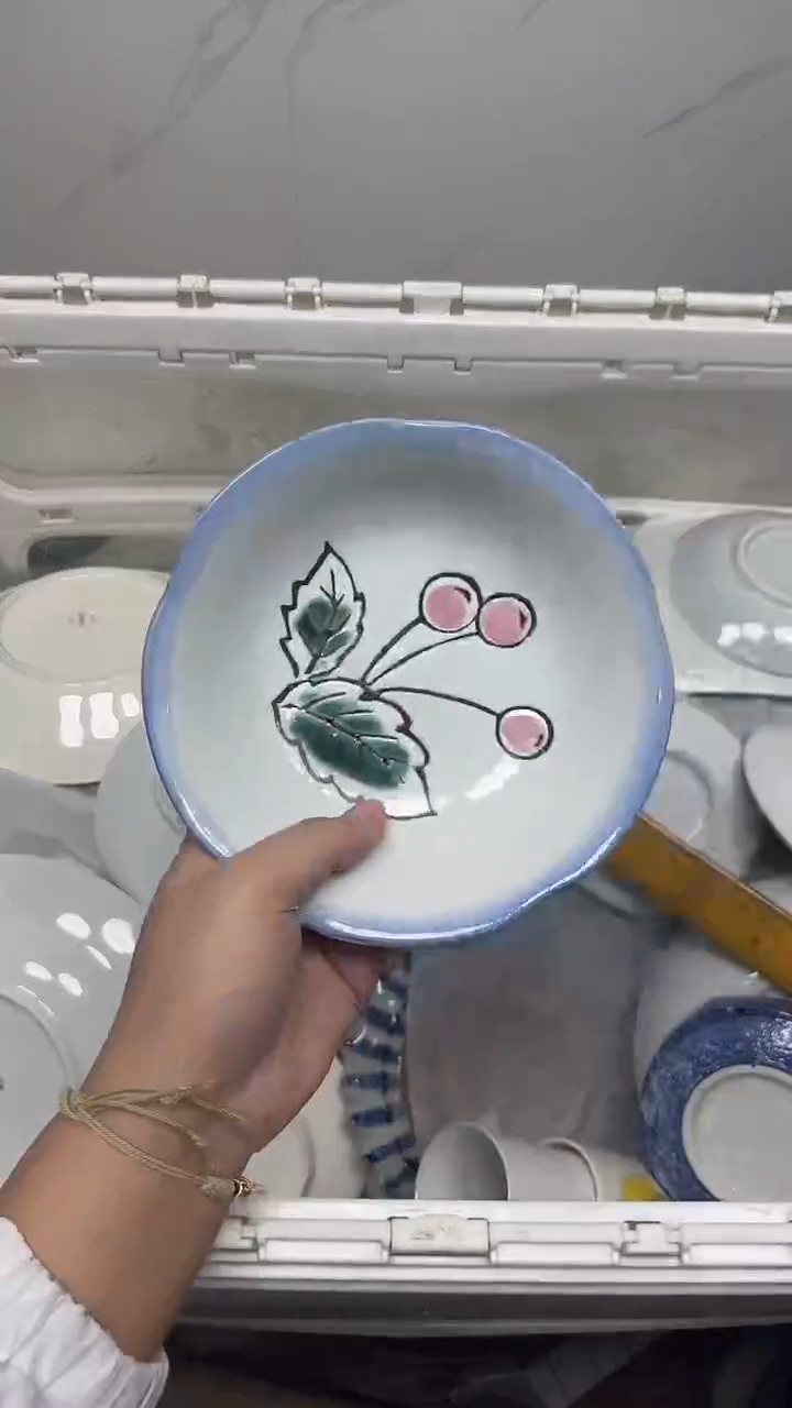 【闪购商品】251回流瓷器默认微瑕，18.8包邮