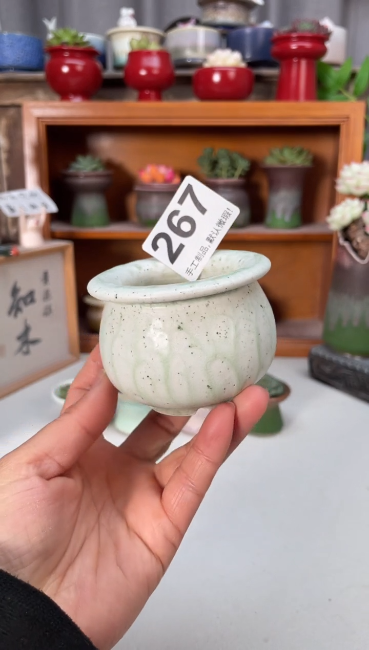 瓷片267知木小芳花盆