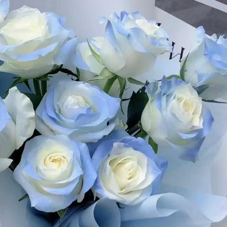 【喷色单头碎冰蓝】同地址两单以上顺丰/德邦空运+送10包保鲜剂