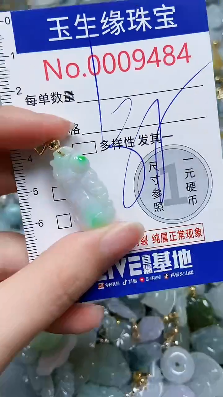 【闪购商品】翡翠颈饰未镶嵌闪购00009484