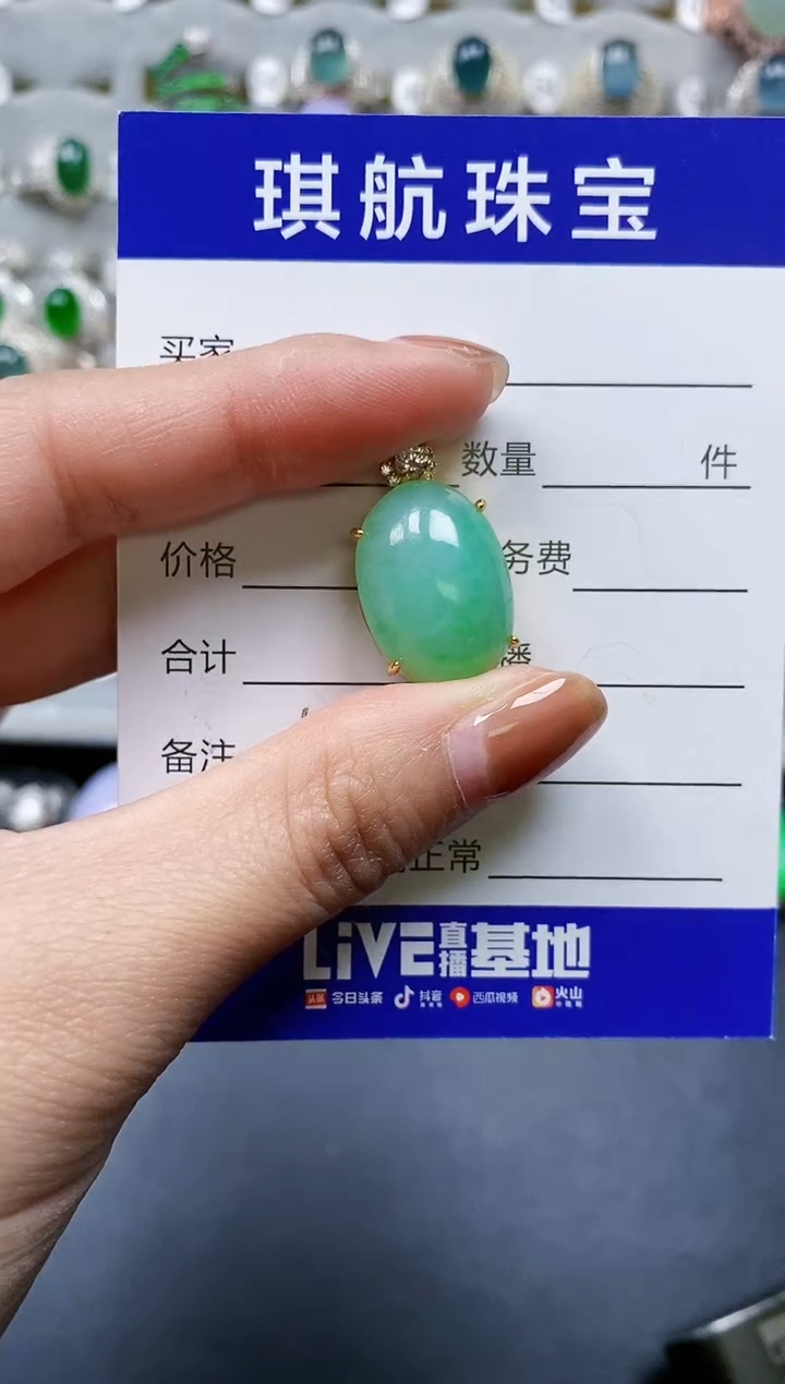 【闪购商品】翡翠颈饰银S925镶嵌0139