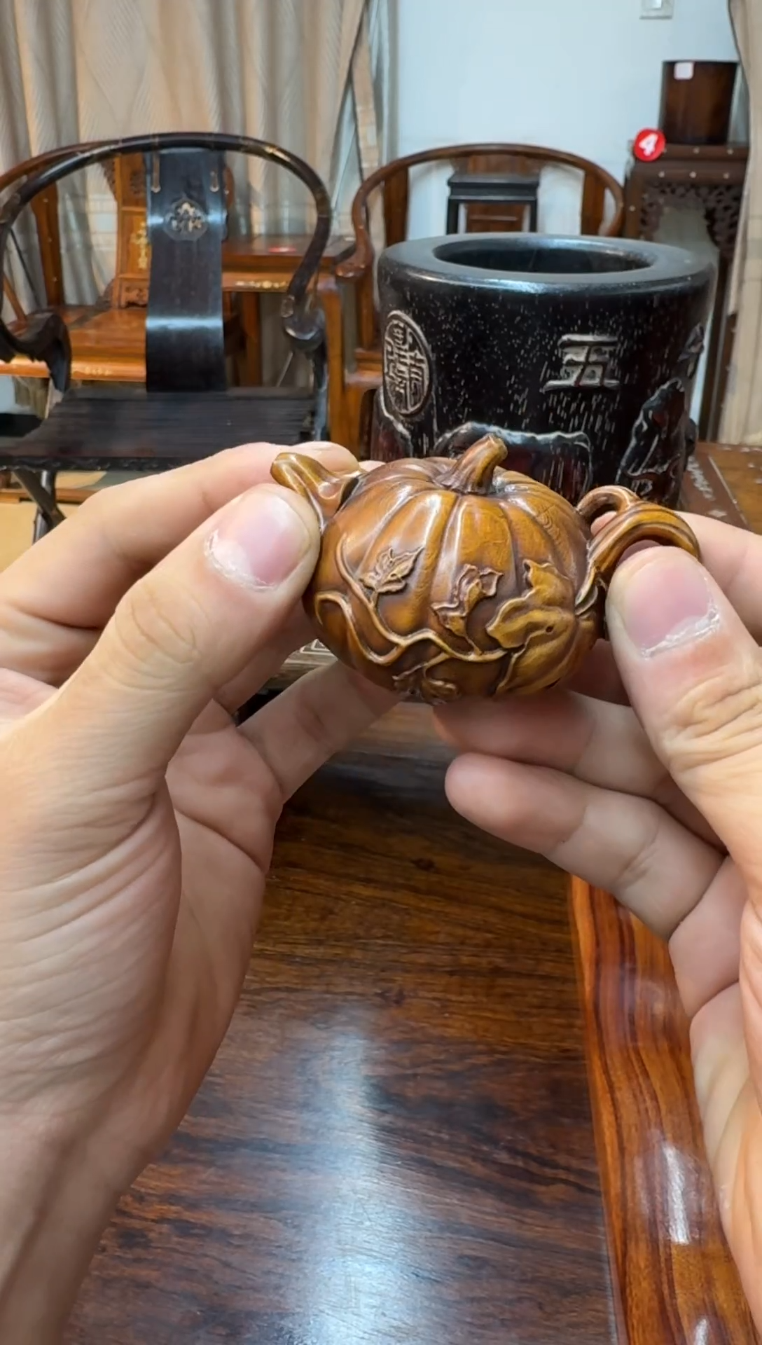 黄杨木把把胡木木木