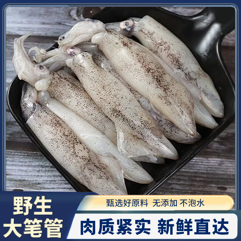 新鲜笔管 海兔  一斤一包 真空包装9-12只/包 到手4包4斤