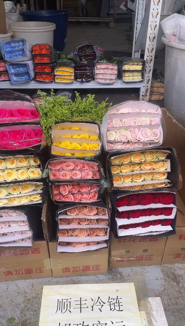 单头玫瑰60枝（任意3个品种）+黄莺