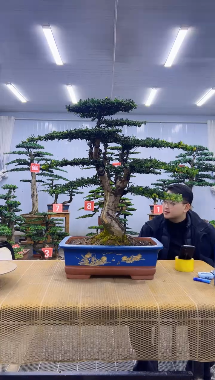 一**安0000000000000000000000