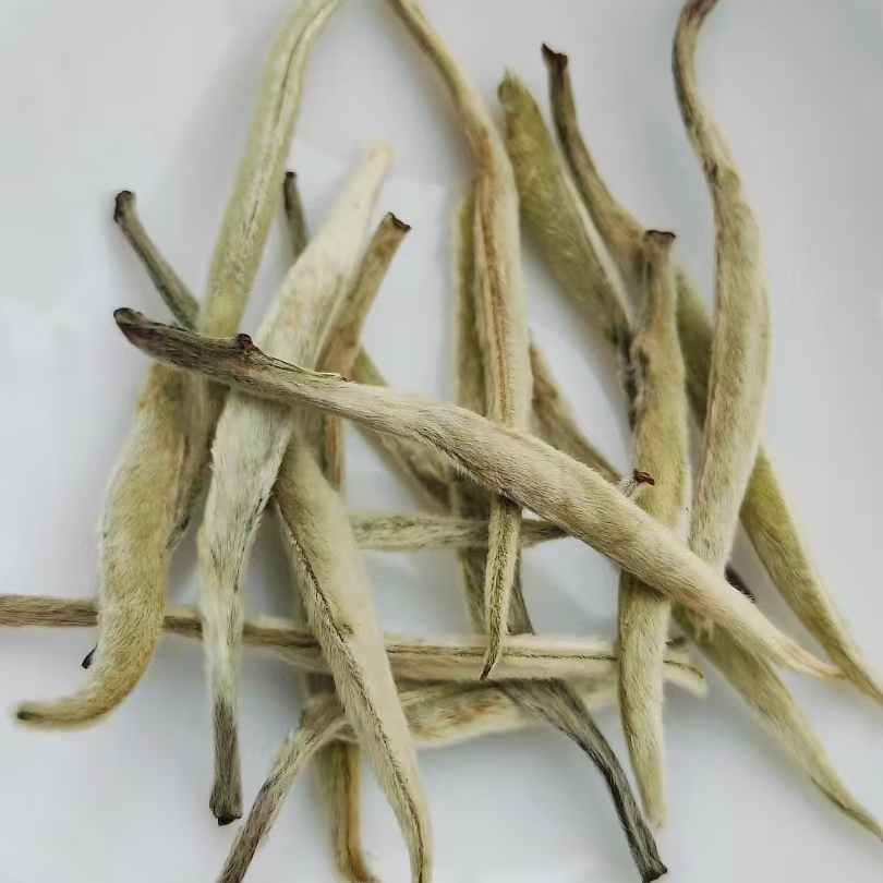【大白芽】云南大叶种白茶